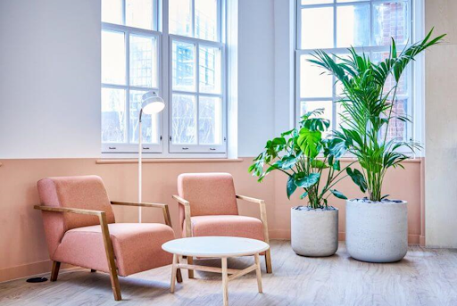 choose-the-right-plants-on-hire-for-your-space