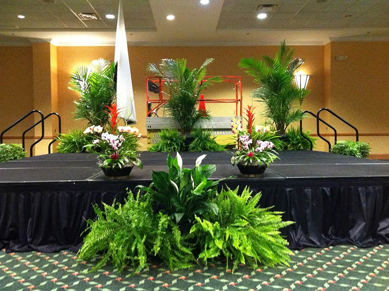 Plants Rentals For Corporate Events