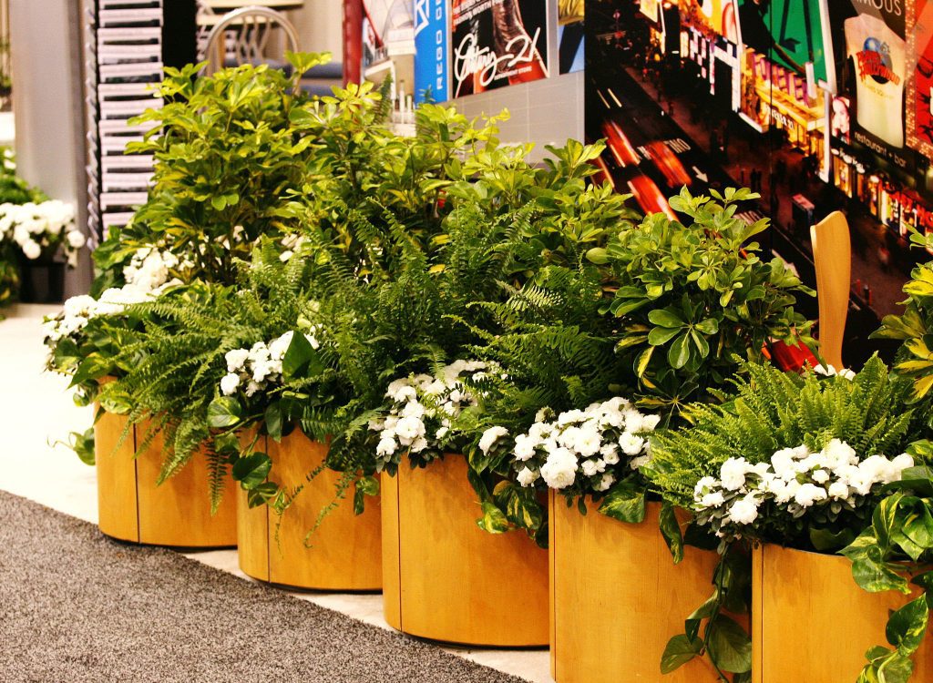 Seasonal Campaigns
